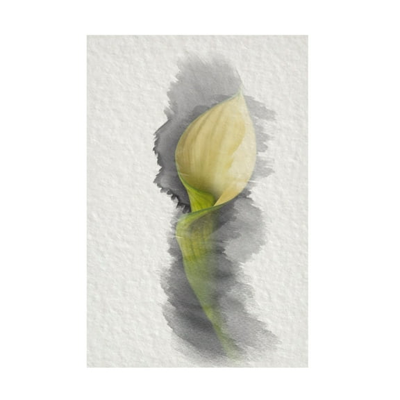 Lori Hutchison 'Yellow Calla Lily' Canvas Art
