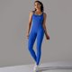 thumbnail image 1 of Camisetas sin mangas de una pieza para mujer, traje de Yoga liso sin costuras, pelele para gimnasio, mono acanalado, mono ajustado sin mangas, ropa de entrenamiento, 1 of 5