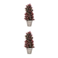 thumbnail image 4 of Yuarrent Planta artificial con lavabo Árbol de imitación Plantas en maceta simuladas Maceta de pulpa de plástico para la decoración del Type4 NO4, 4 of 6