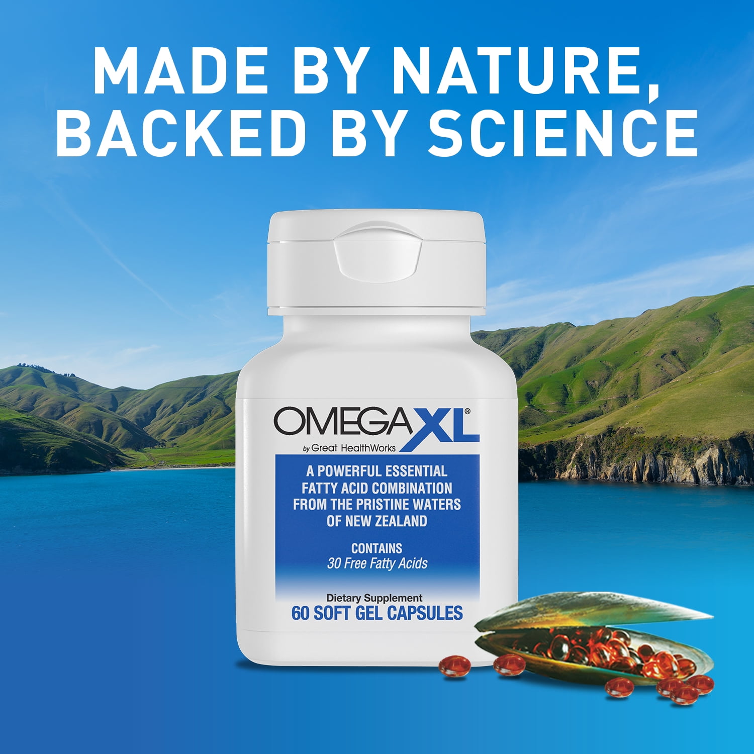 Buy OmegaXL Support for Joint & Muscle Health, Mobility & Joint Pain