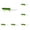 D, variant on Rat Mouse Swimbait 3.14 Inch Topwater Jointed Crankbait for Predator Fish, Pike Fishing Lure with Treble Hooks, Slow Sinking Artificial Bait for Bass, Fishing