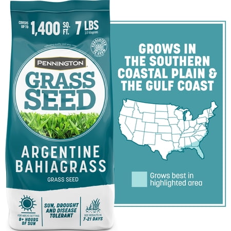 Pennington Argentine Bahiagrass Grass Seed, Grass Seed for Full Sun, 7 lb., 1 New Bag