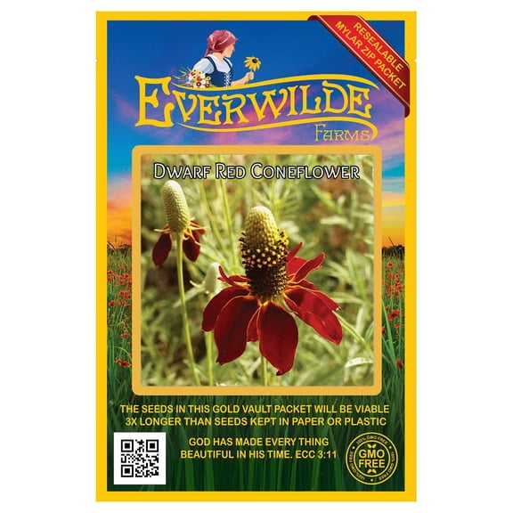 Everwilde Farms - 2000 Dwarf Red Coneflower Native Wildflower Seeds - Gold Vault Jumbo Bulk Seed Packet