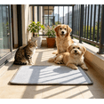 thumbnail image 5 of Pet Cool Mat Ice Silk Cushion For Dogs Cats Washable Pet Cool Blanket For For Bed Sofa Car Seat Floor, 5 of 6