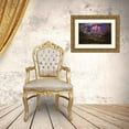 thumbnail image 3 of Chopra, Atul 14x10 Gold Ornate Wood Framed with Double Matting Museum Art Print Titled - Untitled, 3 of 4