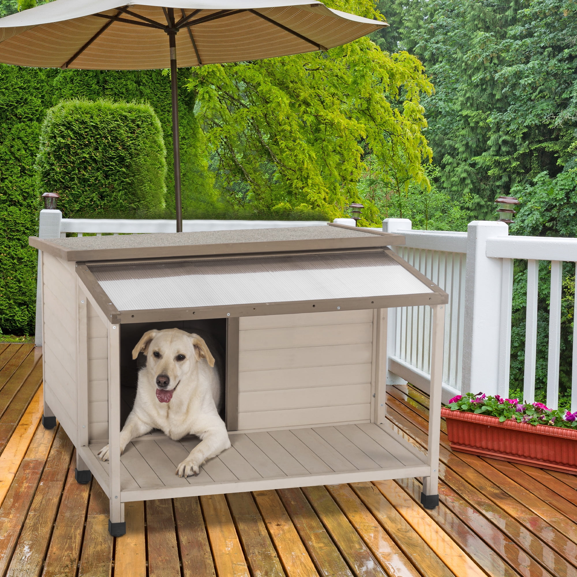 Pefilos 43" Weatherproof Wood Dog Houses with Terrace and Clear Roof, Outdoor Large Pet Cat House, An Open Roof, Beige Pefilos 43" Weatherproof Wood Dog Houses with Terrace and Clear Roof, Outdoor Large Pet Cat House, An Open Roof, Beige