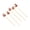 D, variant on A Horse Design Bamboo Skewers For Fruit Or Appetizer Decor Perfect For Birthday Parties Or Cultural Events Food Safe And Biodegradable