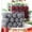 Red+Black, variant on 24Pcs Christmas Ball Buffalo Plaid Christmas Ornaments Fabric Ball Ornaments Christmas Tree Hanging Ornament for Xmas Party, 2.75" in Dia, Red and Black
