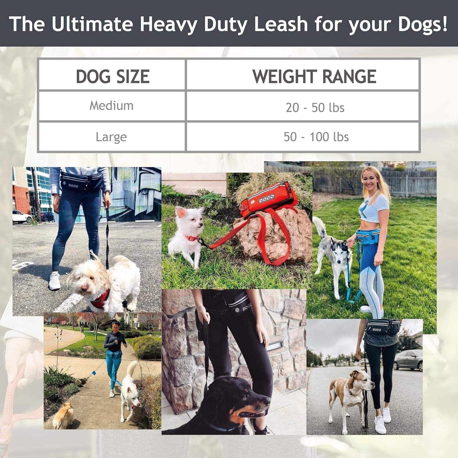 DOCO Hands Free Dog Leash (Waist 26”- 48”, Leash- 1”x 5ft) Waist Belt for Walking, Running & Hiking, Bungee with Dual Handles, Adjustable Fit, Reflective Safety Design for Large Dogs (Turquoise)
