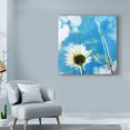 thumbnail image 3 of Trademark Fine Art 'Daisies IV' Canvas Art by Ingrid Blixt, 3 of 4
