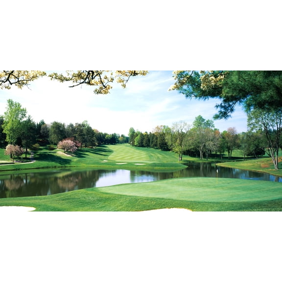 Biggies Golf Murals - Congressional - Large