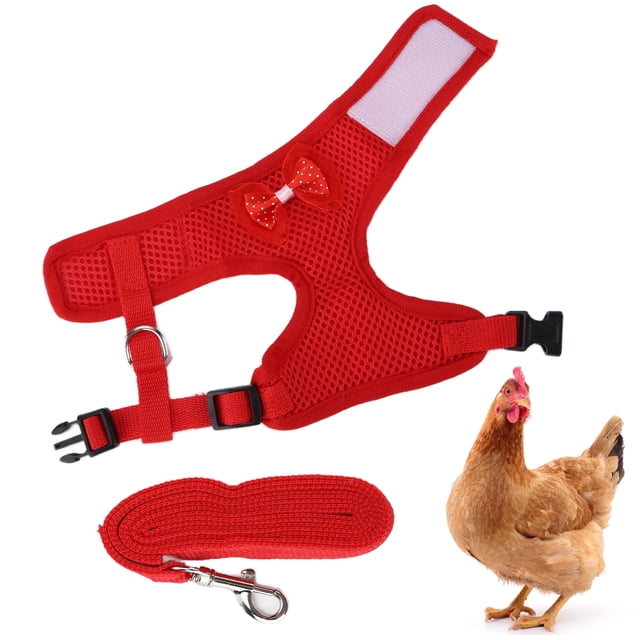 Chaleco Para Mascotas De Gallina, Chaleco Para Mascotas, Luz Transpirable Con Hebilla De Seguridad Para Patio Y Parque