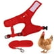 thumbnail image 4 of Arnés de Pollo Con Correa, Chaleco de Mascotas de Gallina, 4 of 7