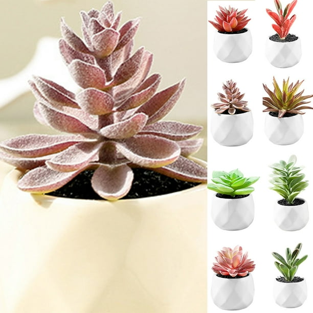 Travelwant Artificial Succulent Flocking Plants Mini Fake Succulents Plant with Ceramic Pots for