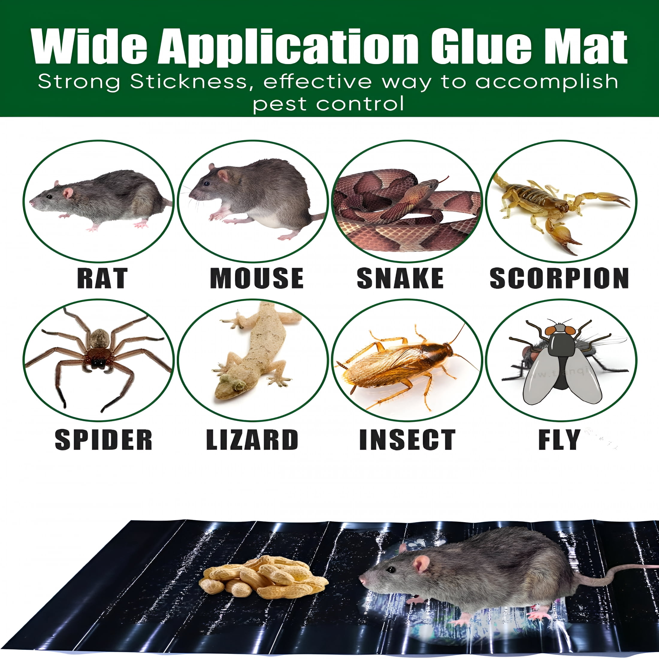 QARUN 6 Pack Rat Sticky Traps Extra Large,Black Mouse Glue Trap Sticky Trap for Mice and Rats,Enhanced Stickiness Trapping Pads Snakes Spiders Roaches for House Rodent Pest Control - 47.2x11