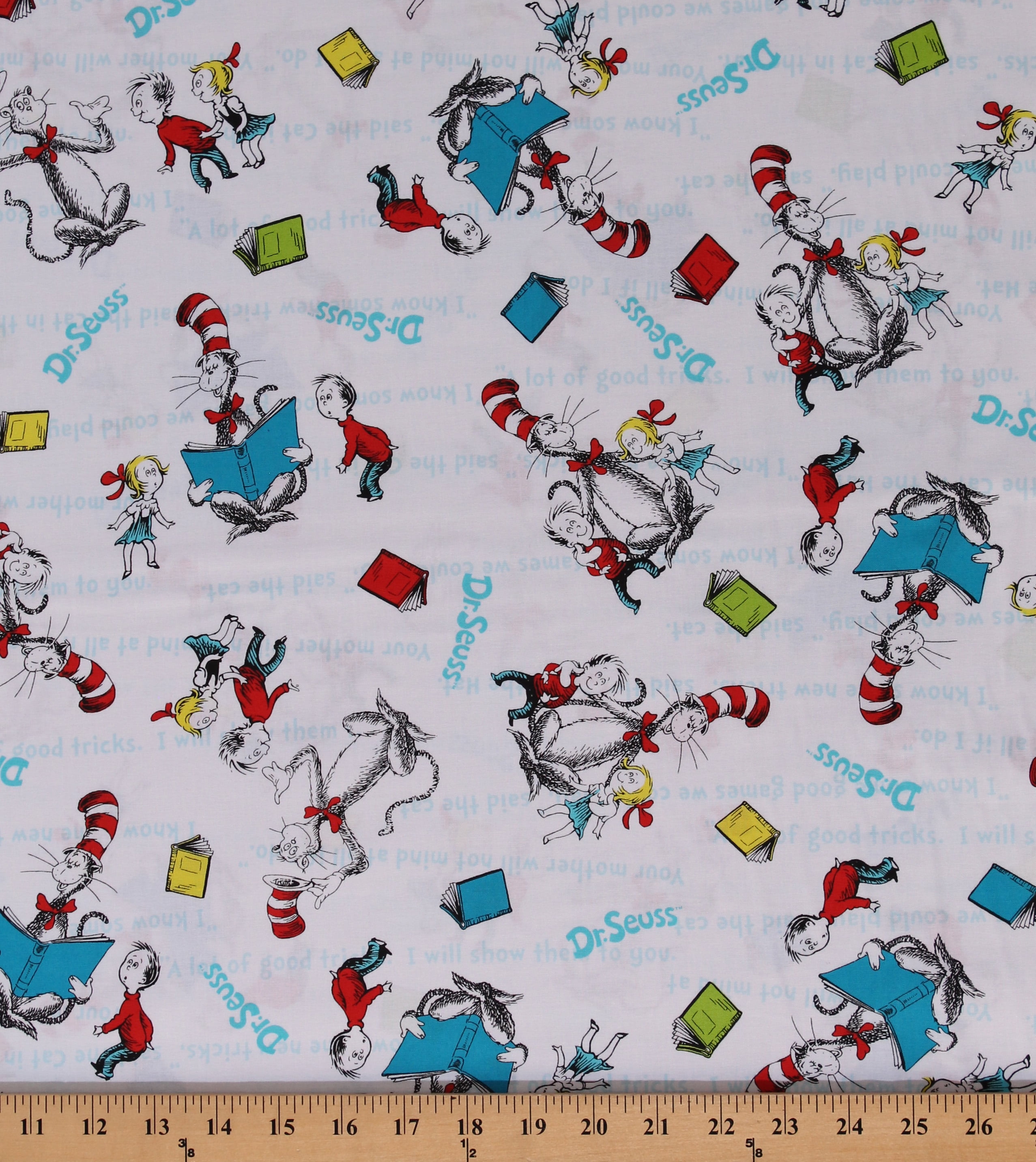 Cotton The Cat in the Hat Dr. Seuss Sally and Conrad Children's Books