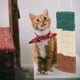 thumbnail image 4 of KAKOWELY Juguete rascador para gatos Juguete rascador para gatos Juguete rascador de sisal Suministros para gatos, 4 of 5