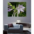thumbnail image 2 of Wallhogs Batie Wet Flower Glossy Poster, 2 of 2