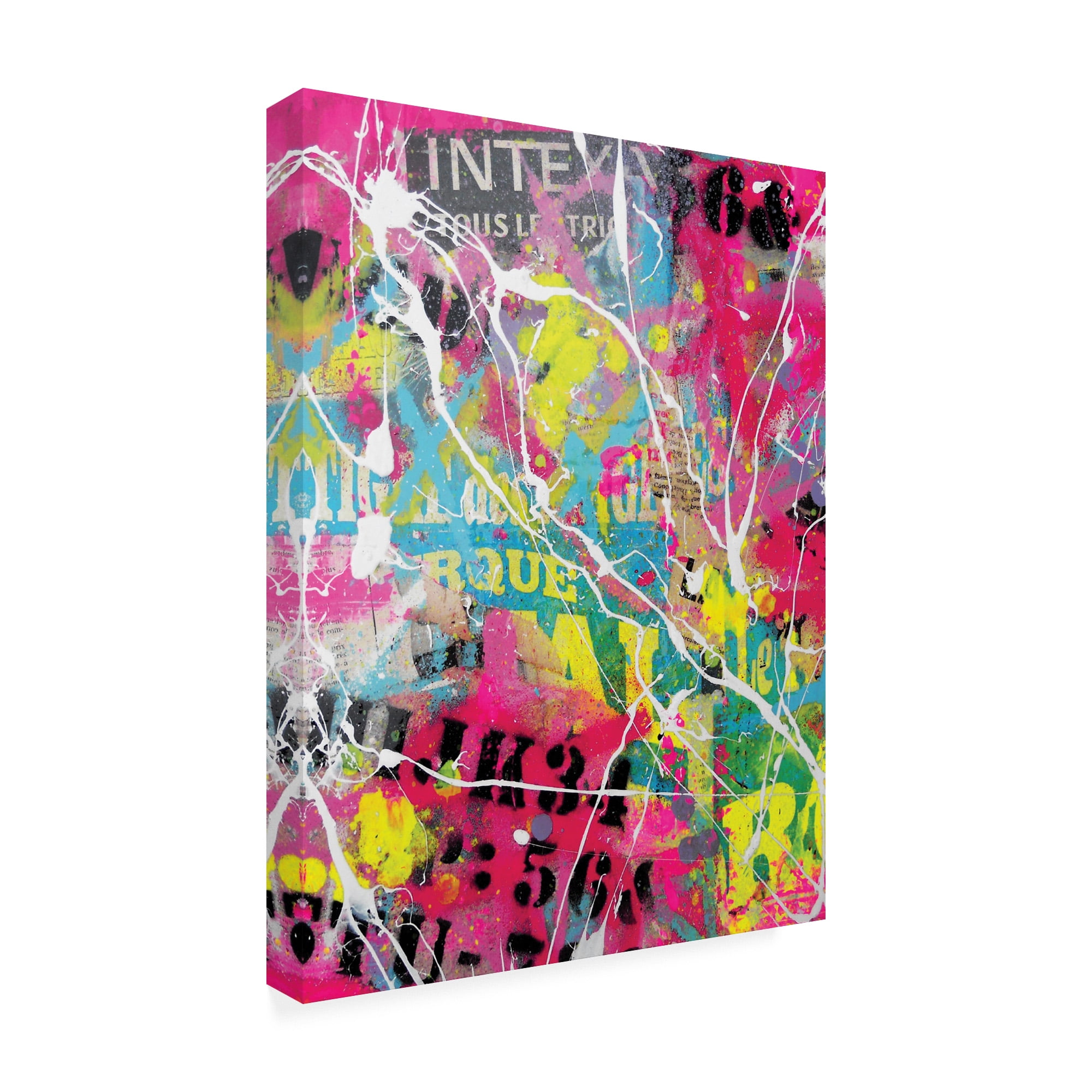 Trademark Fine Art 'Splatter Graffiti' Canvas Art by David Drioton