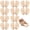 Beige, variant on Metatarsal Pads for Women, Ball of Foot Cushions, Non-Slip Forefoot Shoe Inserts with Soft Cushion Support for High Heels, Sandals, Boots & Sneakers (Beige, 3 Pair)