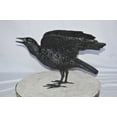 thumbnail image 3 of Nifao Raven with Open Wings Bronze Statue – Home Decor Sculpture, 16"L x 25"W x 15"H, 3 of 10