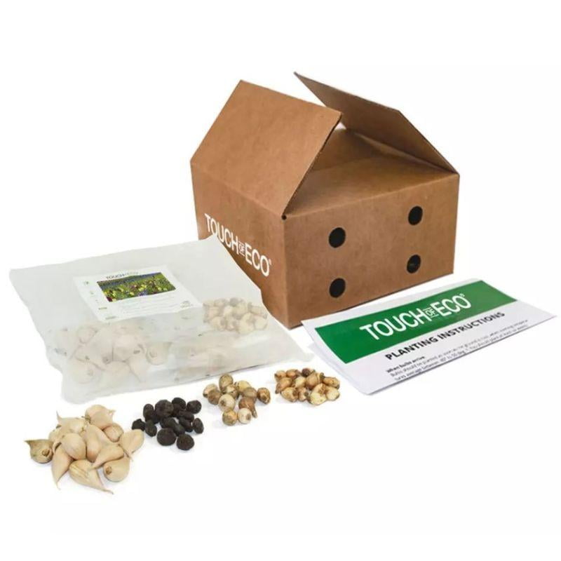 Garden Gems Flower Bulbs Grape Hyacinths Fritillaria meleagris