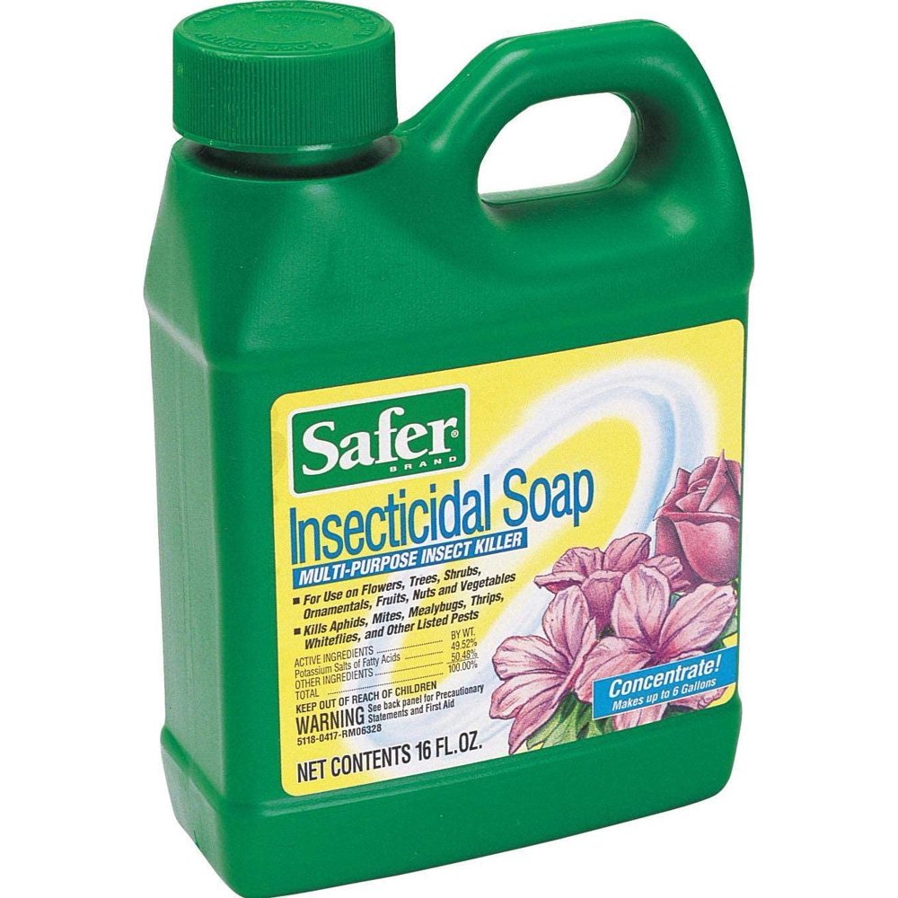 Woodstream Safer Insecticidal Soap Insect Killer