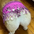 thumbnail image 3 of Puppy Belly Dance Skirt - Cute Scarf for Small Dogs - Festive Sequined Outfit for , Christmas & Pet Dance Performances, 3 of 8