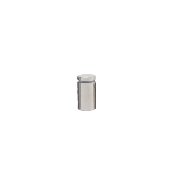 Riwesomey Tornillo de publicidad Acero inoxidable Alto brillo Fácil instalación Espejo de vidrio Tuerca de clavo Perno Soporte para colgar en Herramientas y ferretería 12x20mm