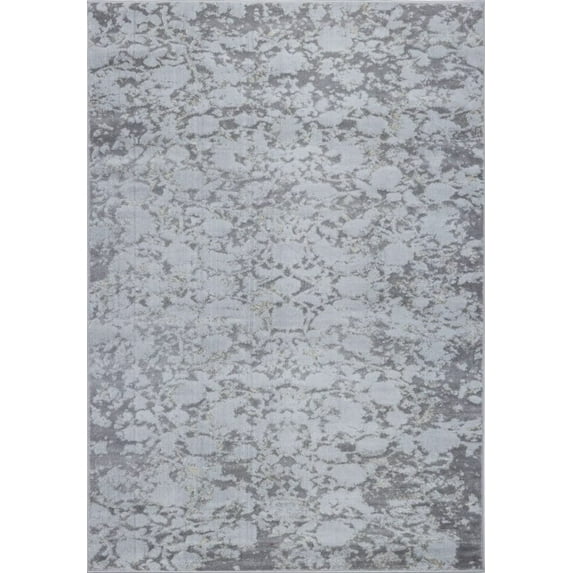 Ladole Rugs Concord Beautiful Indoor European Smooth Abstract Pattern Area Rug Carpet in Silver-Grey, 3x5 (2'7" x 4'11", 80cm x 150cm)