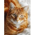 thumbnail image 1 of Qisvanset Ginger Cat Portrait Canvas Print 12x16 Inch Den Bedroom Decor, 1 of 8