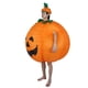 thumbnail image 5 of Disfraz inflable de dibujos animados, lindo disfraz inflable de dibujos animados, disfraz inflable, decoración de Halloween, eficiencia maximizada, 5 of 12