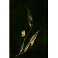 thumbnail image 2 of Kiral, Cicek 17x24 Gold Ornate Wood Framed with Double Matting Museum Art Print Titled - Waiting For Dawn, 2 of 4