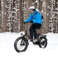 thumbnail image 2 of Elifine 500W Foldable Electric Bike, 20" x 3.0" Fat Tire Electric Bicycle Max. 19.8mph Commuter Ebike, 48V 10.4Ah Removable Battery UL 2849 with 5 Riding Modes Electric Bike for Men Women Senior, 2 of 11