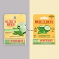 thumbnail image 3 of Burt's Bees Cucumber Mint Lip Balm, 1-Pack, 0.15 oz., 3 of 12