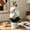 White, variant on Simulation Three Leaf Orchid Bonsai, Film Like Artificial Flowers Pot Plant for Indoor Home Decoration