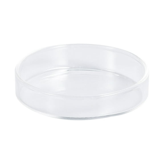 Hemoton 1pc Transparent Glass Shrimp Food Round Dishes Small Fish Feeding Bowl Ornamental Supplies (Size 8)