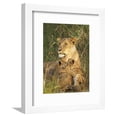 thumbnail image 1 of Lioness with Two Cubs Panthera Leo, Masai Mara Game Reserve, Kenya, East Africa, Africa, Animals Framed Art Print Wall Art by James Hager Sold by Art.Com, 1 of 5