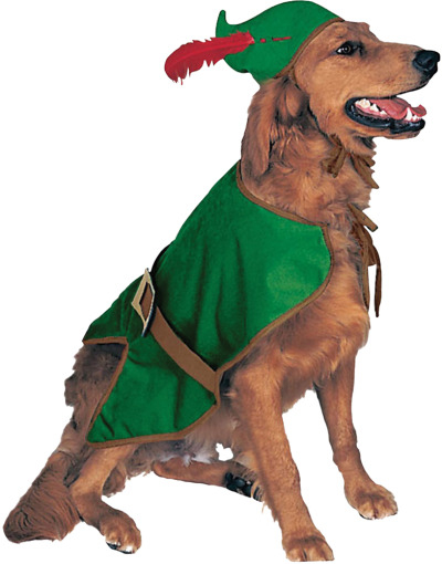 small dog robin costume