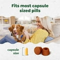 thumbnail image 5 of Greenies Pill Pockets for Dogs Large Size, Capsule Dog Treat, Cheese Flavor, 15.8 oz. Pouch, 5 of 10