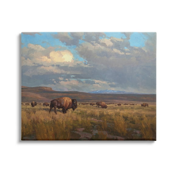Stupell Industries Buffalo Cloudy Landscape Landscape Painting Gallery Wrapped Canvas Art Print Wall Art, 20 x 16