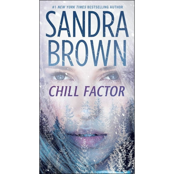 Chill Factor: A Novel (Paperback)