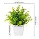 thumbnail image 4 of Plantas falsas Yuarrent Adornos realistas degradables para el hogar y jardín Eucalipto ABS, 4 of 6