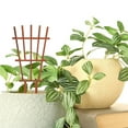 ITSELFER Small Wood Trellis For Indoor Potted Plants Mini Plants