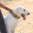 thumbnail image 7 of WAAYEEPAL Heavy Duty Nylon Dog Collar, Adjustable Training Collar with Control Handle, Sturdy Metal Buckle and AirTag Holder for Medium and Large Dogs (XL, Khaki), 7 of 7