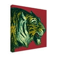 thumbnail image 2 of Trademark Fine Art 'Jungle Flair I' Canvas Art by Wild Apple Portfolio, 2 of 4