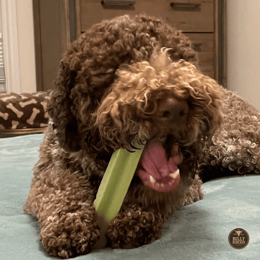 Bully Bunches Premium Mint Fruit-Flavored Himalayan Yak Chew (MEDIUM) - 3 Pack