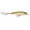 Tennessee Olive Shad, variant on Rapala X Rap 10 7/16oz Silver