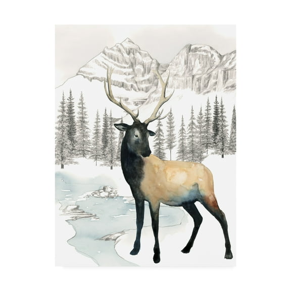 Trademark Fine Art 'Winter Elk I' Canvas Art by Grace Popp