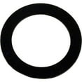 thumbnail image 3 of Pentair Dynamic Suport Ring, 3 of 3